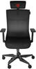 Genesis Gaming-Stuhl »ASTAT 700 G2 schwarz«