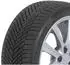 Nexen N Blue 4Season 2 195/60 R15 92 V