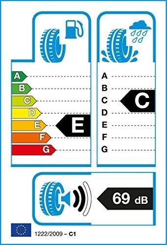 Fortuna EcoPlus 4S 205/50 R17 93W