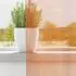vidaXL Voile Vorhänge mit Stangentaschen 2 Stk. Orange (4102191)