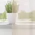 vidaXL Voile Vorhänge mit Ösen 2 Stk. Creme 140x260 cm (4102075)