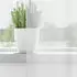 vidaXL Voile Vorhänge mit Stangentaschen 2 Stk. Weiß (4102241)
