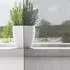 vidaXL Voile Vorhänge mit Stangentaschen 2 Stk. Dunkelgrau (4102182)