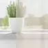 vidaXL Voile Vorhänge mit Stangentaschen 2 Stk. Creme (4102176)