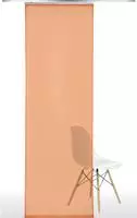 Liedeco Schiebegardine Klettband 1 Stk. tlg. HxB: 245x60
