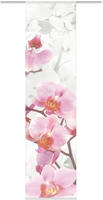 HOME WOHNIDEEN Schiebegardine "HANAMI" Klettband 1 Stk. tlg. HxB: 245x60, inkl.