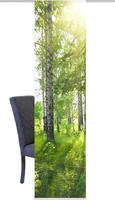 HOME WOHNIDEEN Schiebegardine "NEWCASTLE" Klettband 1 Stk. tlg. HxB: 245x60,...