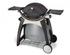 Weber Q 220 Black Line Station
