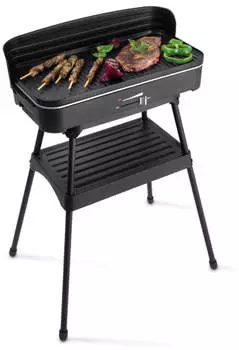 Fritel Barbecue BBQ 2246