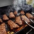 Weber Searwood 600