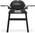 Weber Q1200N mit Gestell schwarz