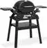 Weber Q1200N mit Gestell schwarz