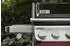 Weber Spirit E-335