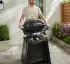 Weber Q 2200N mit Rollwagen