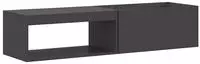 vidaXL Feuerschale Schwarz 160 x 45 x 35 cm Wetterfeststahl