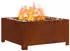 vidaXL Feuerstelle Feuerstelle 60 x 60 x 30 cm ( - )
