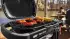 Weber Traveler Compact tragbarer Gasgriller