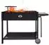 Grillpeter Batyr 80 Schaschlikgrill 80cm mit Grillrost & Kasan 10L (8091293)