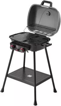 Royal Gourmet GT2003-G Gasgrill 2-Brenner, 5kW, mit Grillplatte und Grillrost (GT2003-G)