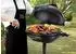 George Foreman 22460 Indoor/Outdoor Grill