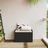 vidaXL Sitzbank mit Stauraum & Kissen Schwarz 80x51x52 cm Poly Rattan (365730) schwarz