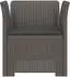 vidaXL 1-Sitzer Sessel mit Kissen, Rattan-Look PP, hellgrau (8011865)