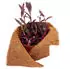 Aquagart Kokosfasermatte Winterschutz 800g/m² 0,75m x 22m