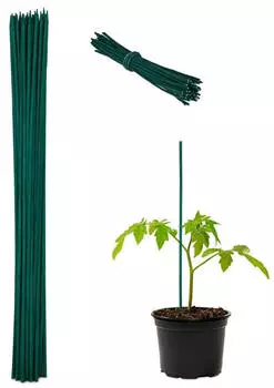 Relaxdays Pflanzenstab 60cm Dunkelgr&uuml;n, 100er-Set