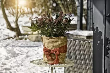 Windhager Jute Winterschutz-Vliesmatte &Ouml;ko 300g/m&sup2; 0,5x4m (07521)