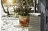 Windhager Jute Winterschutz-Vliesmatte Öko 300g/m² 0,5x4m (07521)