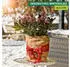 Windhager Jute Winterschutz-Vliesmatte Öko 300g/m² 0,5x4m (07521)