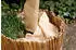 Noor Wintervlies PP 1,5 x 5 m beige