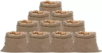 vidaXL Jutes&auml;cke 10 Stk. 100x110cm 100% Jute 220g/m&sup2; (155782)