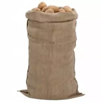 vidaXL Jutes&auml;cke 30 Stk. 65x135cm 100% Jute 340g/m&sup2; (155809)