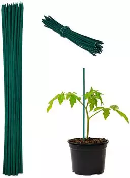 Relaxdays Pflanzst&auml;be Bambus dunkelgr&uuml;n 30cm 50er Set