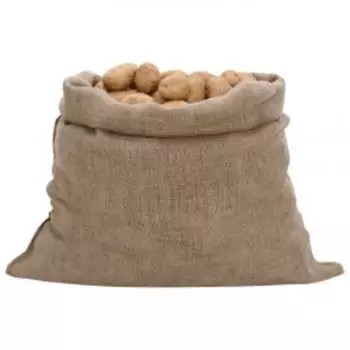 vidaXL Jutes&auml;cke 100x110cm 220g/m&sup2; 100% Jute 30er-Set