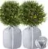 LuxusKollektion Thermo Topfschutz Frostschutz 70x65cm, 2er Set