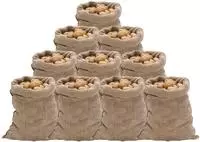 vidaXL Jutes&auml;cke 10 Stk. 60x105 cm 100% Jute 220 g/m&sup2;