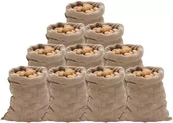 vidaXL Jutes&auml;cke 10 Stk. 60x105cm 100% Jute 220g/m&sup2; (155778)