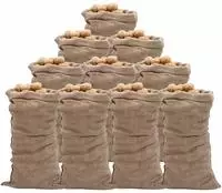 vidaXL Jutes&auml;cke 10 Stk. 65x135 cm 100% Jute 220 g/m&sup2;