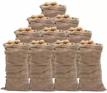 vidaXL Jutesäcke 10 Stk. 65x135cm 100% Jute 220g/m² (155780)