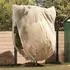 vidaXL Frostschutz-Pflanzenabdeckung Vliesstoff beige 2,4x2m, 3 Stk. (42021068)