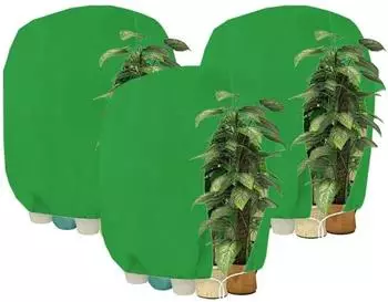 LuxusKollektion Pflanzen-Winterschutzhaube mit Rei&szlig;verschluss, gr&uuml;n, 160x240cm, 3 St&uuml;ck