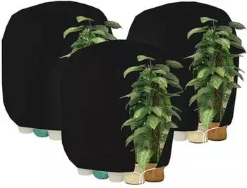 LuxusKollektion Winterschutzhaube f&uuml;r Pflanzen, atmungsaktiv, 160x240cm, schwarz, 3 St&uuml;ck