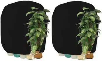 LuxusKollektion Winterschutzhauben f&uuml;r Pflanzen 80x120cm, schwarz, 2 St&uuml;ck (125952)