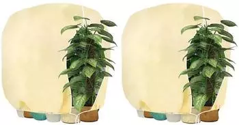 LuxusKollektion Winterschutzhauben für Pflanzen, beige, 190x220cm, 2 Stück