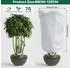 LuxusKollektion Pflanzenabdeckung Frostschutz 80x120cm, 2er Set