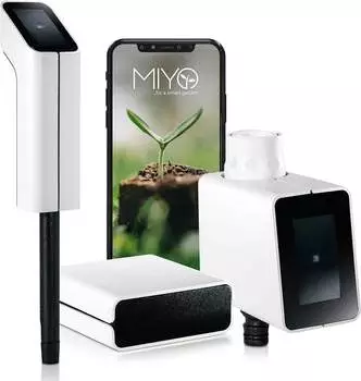 Miyo Starter Set