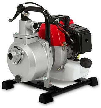 Eberth 2PS Wasserpumpe mit 12.000l/h und 17,5m F