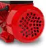 Eberth Wasserpumpe 1 Zoll Anschluss 370 W 8m